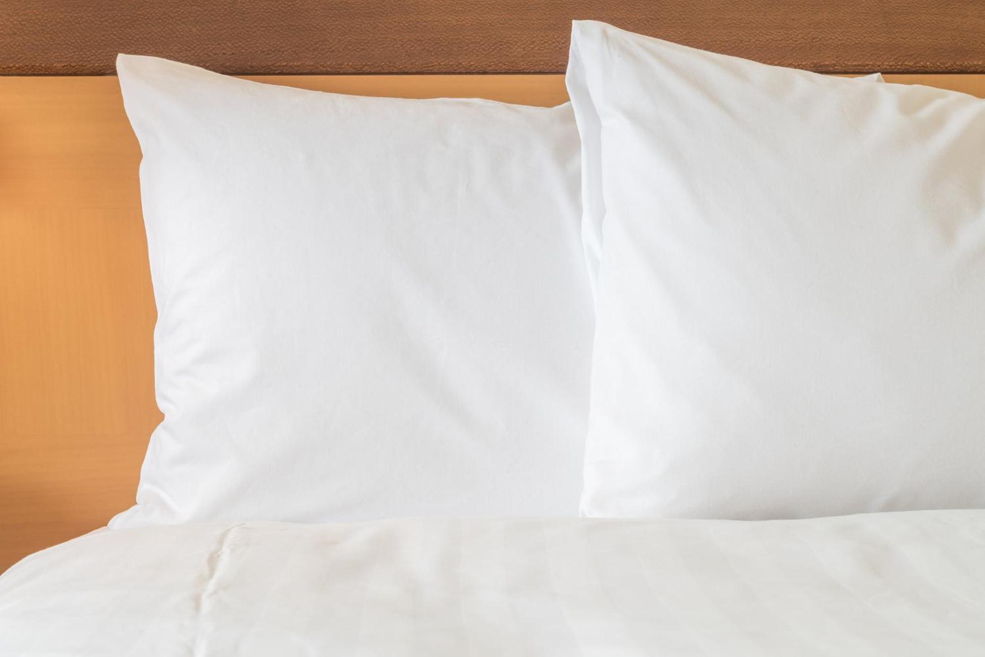 Holiday Inn Express Big Rapids By Ihg Εξωτερικό φωτογραφία